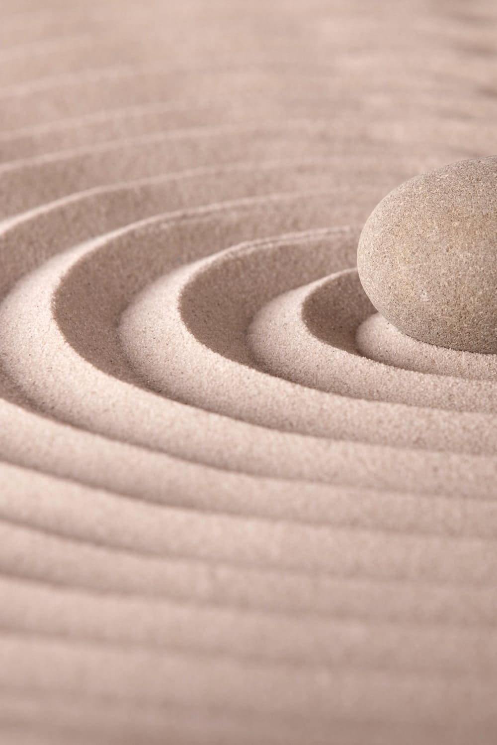 L'Univers de Sandrine : Zen